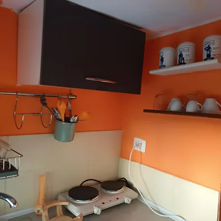 Check In アパート パルマ